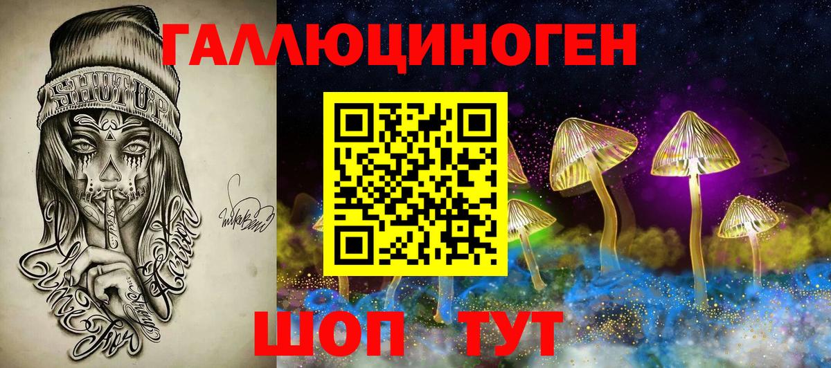 Гусь-Хрустальный  Псилоцибиновые грибы MAGIC MUSHROOMS  Вход с VPN 